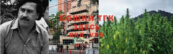 альфа пвп Гусиноозёрск