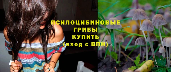 мескалин Гусев