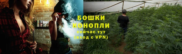 мескалин Гусев