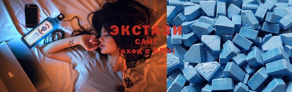 PSILOCYBIN Гусь-Хрустальный