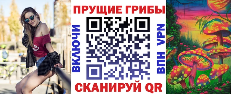 Купить  Полысаево  Галлюциногенные грибы мицелий 